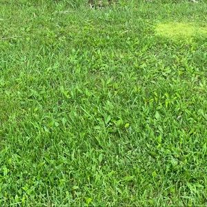 Meet your Posher, Cal